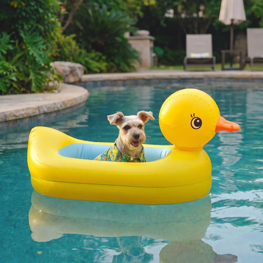 DuckFloat  - Aufblasbarer Hundeschwimmring Im Entendesign Auf Dem Wasser Entspannen