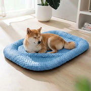 PawsChill  - Strukturierte Kühlmatte Für Hunde Ausruhen An Warmen Tagen
