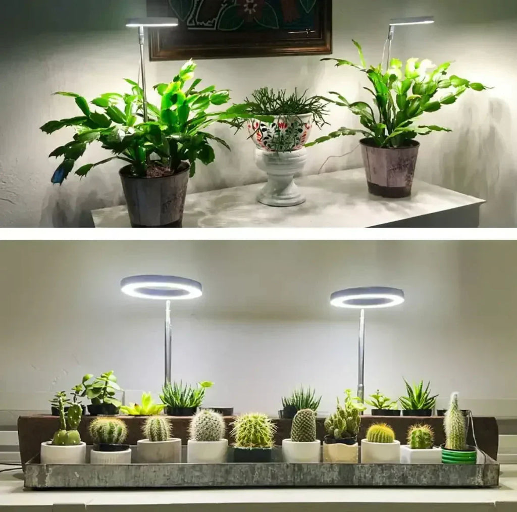 LED-Pflanzenlampe mit Timer für Zimmerpflanzen