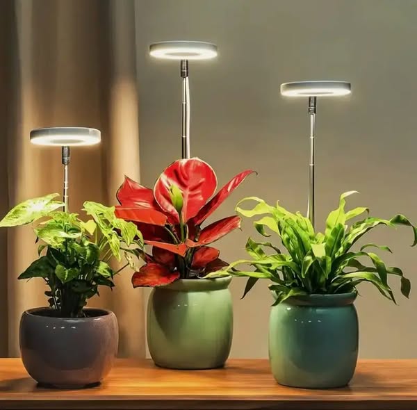 LED-Pflanzenlampe mit Timer für Zimmerpflanzen