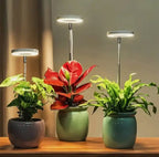 LED-Pflanzenlampe mit Timer für Zimmerpflanzen