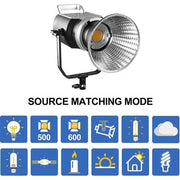 Schwarze LED-Videoleuchte mit Stativ und weißer Laternen-Softbox